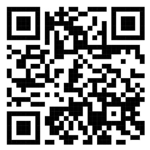 RoadKing GPS App (Google Play)